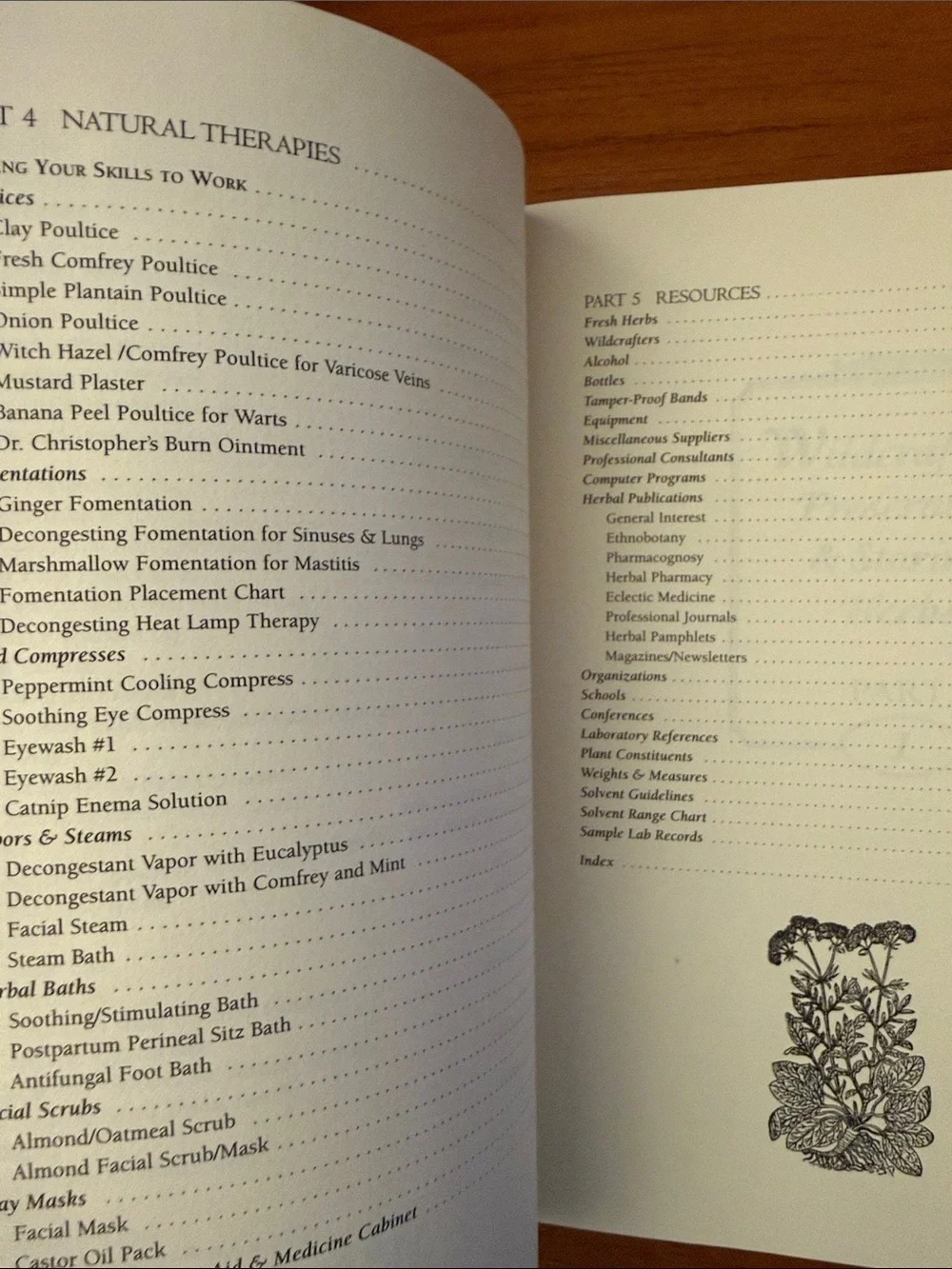 The Herbal Medicine Cabinet — Natural Remedies Book